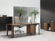 Fashion Executive Desk CG-FEB-1112